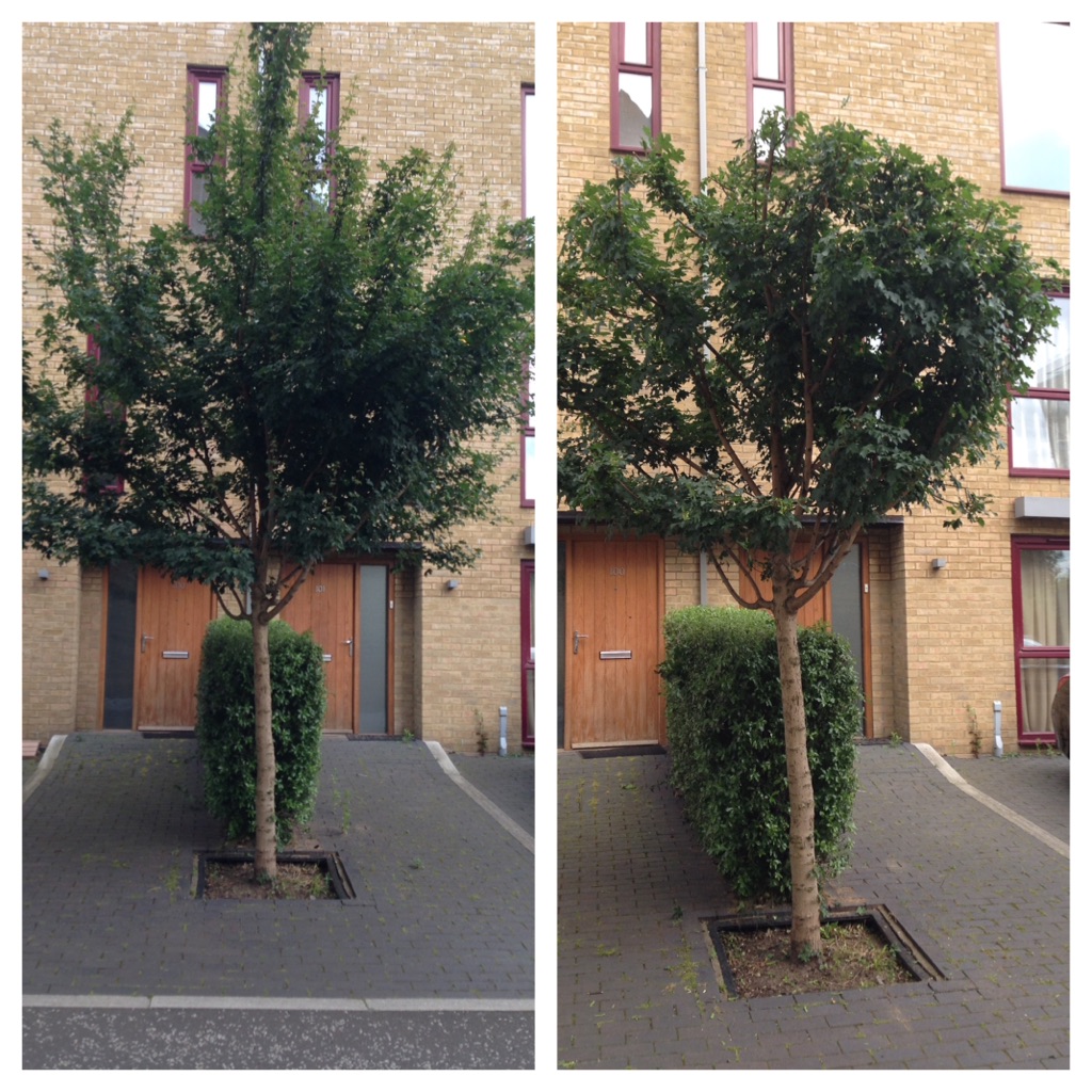 An example of Andy's work